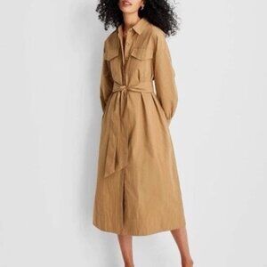 Women's Belted Midi Shirtdress - Future Collective Brown/Black Striped L: Button
